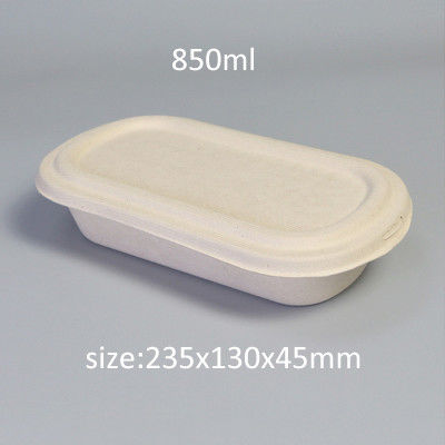 Disposable Salad Sugarcane Bio Takeaway Containers