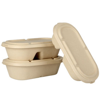 Disposable Salad Sugarcane Bio Takeaway Containers