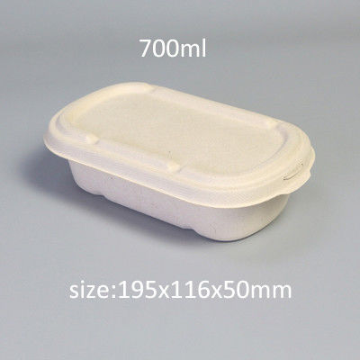 Disposable Salad Sugarcane Bio Takeaway Containers